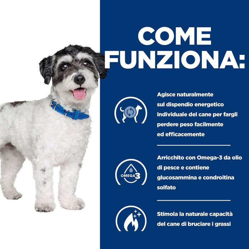 Hill's Prescription Diet Dog Mini Metabolic + Mobility 1 kg