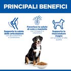 Hill's Science Plan Dog Large Breed Adult al Pollo 18 kg