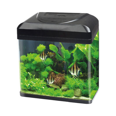 Blu Bios Acquario Billy 30 lt Nero