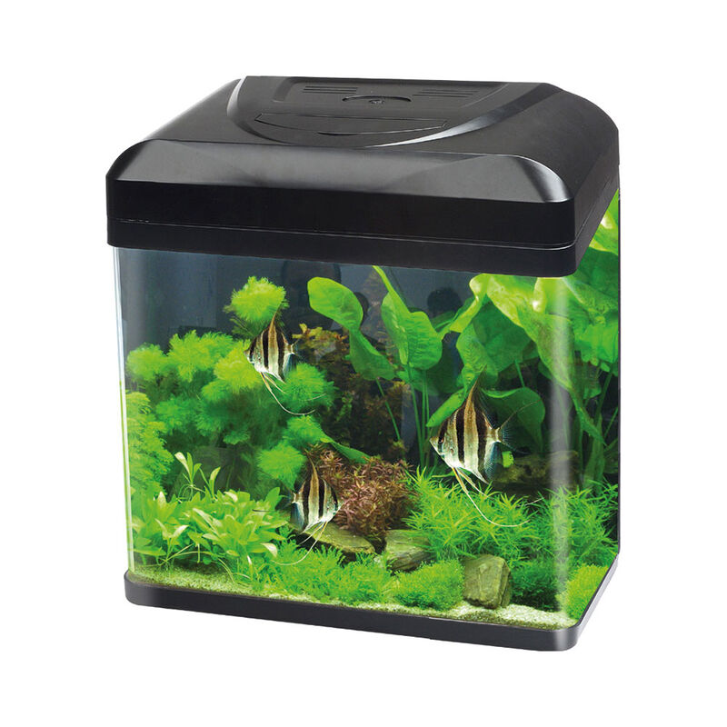 Blu Bios Acquario Billy 30 lt Nero