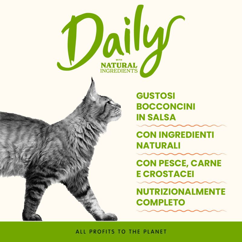 Almo Nature Cat Adult Merluzzo 70g
