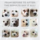 Nature's Protection Superior Care Dog Adult Small & Mini Pelo Bianco all'Aringa 1,5 kg