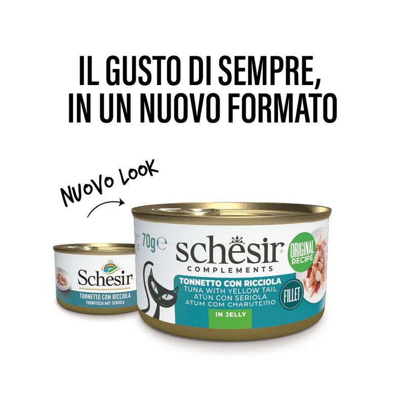 Schesir Cat Jelly Tonnetto con Ricciola 70g