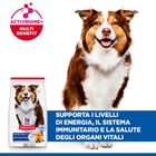 Hill's Science Plan Dog Medium Mature Adult 7+ al Pollo 2,5 kg