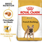 Royal Canin Dog Adult e Senior Bulldog  Francese 1,5 kg