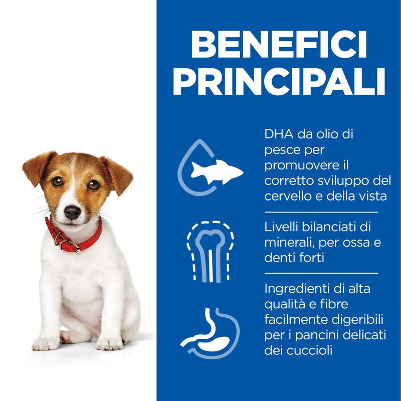 Hill's Science Plan Small & Mini Dog Puppy con Pollo 300 gr