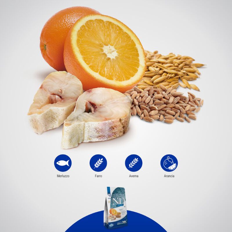 Farmina N&D Ocean Cat Adult Merluzzo, Farro, Avena e Arancia 300 gr