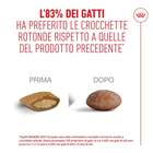 Royal Canin Cat Senior +15 anni 2kg