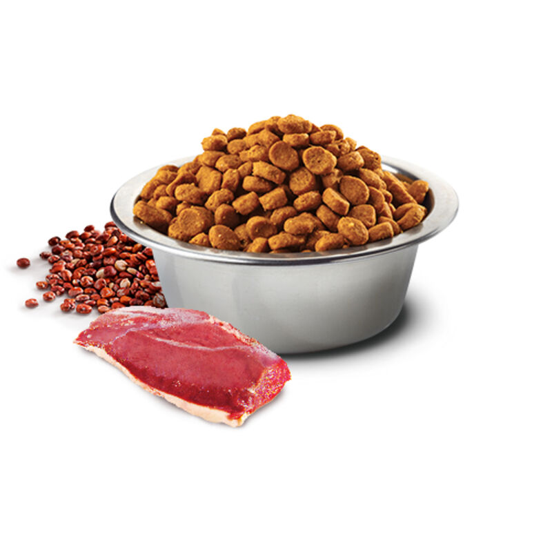 Farmina N&D Quinoa Dog Adult Mini Neutered 2,5 kg
