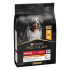 Purina Pro Plan Dog Adult Medium Everyday Nutrition Pollo 3 kg image number 0