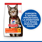 Hill's Science Plan Cat Adult al Pollo 10 kg