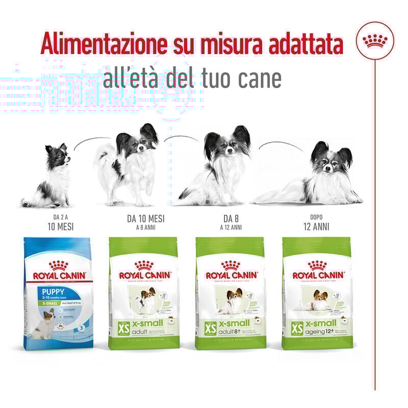 Royal Canin Dog Adult X-Small 1,5 kg
