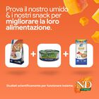 N&D Farmina Pumpkin Neutered Cat Agnello e Mirtillo 1,5 kg