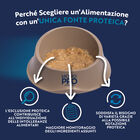 Monopro Puppy All breeds paté Salmone 150 gr