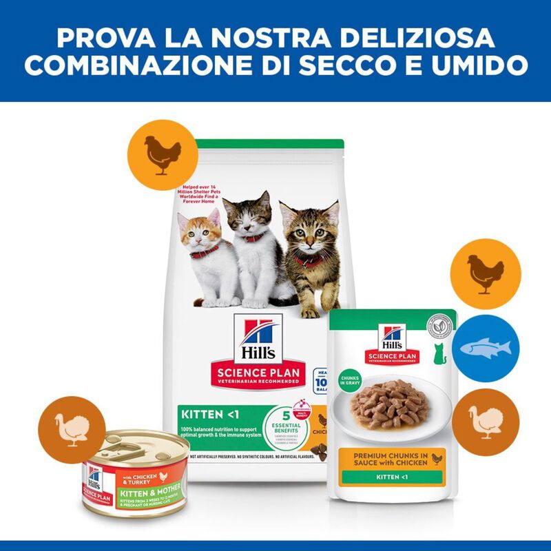 Hill's Science Plan Cat Kitten al Pollo 300 gr