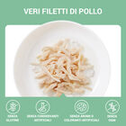 Schesir Cat Filetti di Pollo in Gelatina 70g