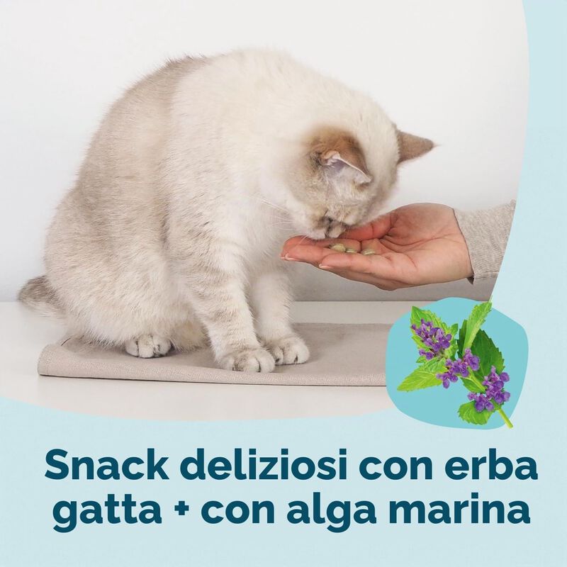 Gimcat Nutri Dental Bites per gatti Erba gatta 40 gr