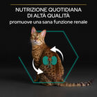 Purina Pro Plan Renal Plus Cat Sterilised Adult 1+ con Coniglio 400 gr