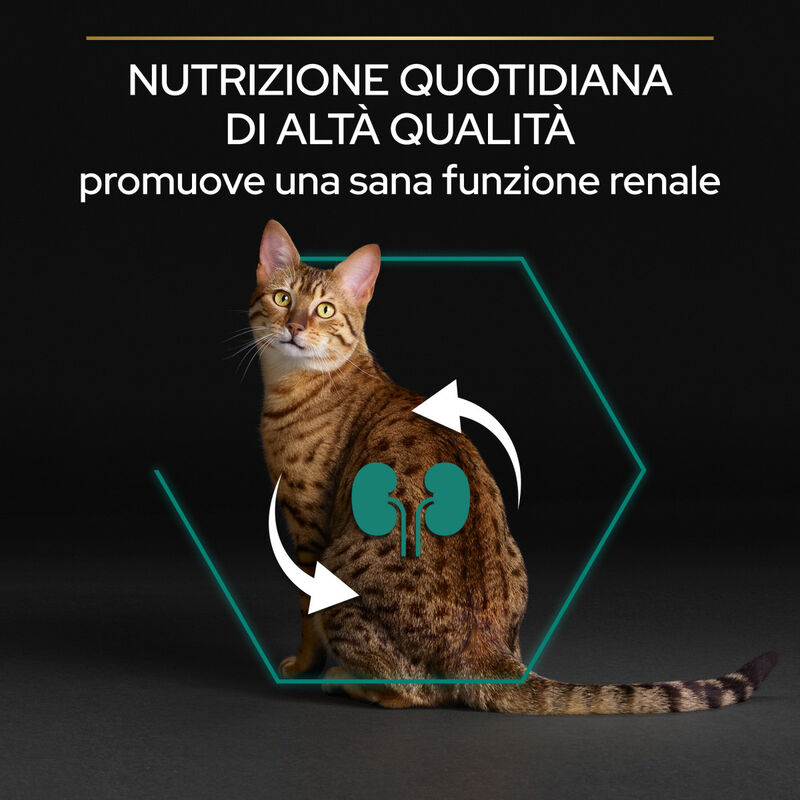 Purina Pro Plan Renal Plus Cat Sterilised Adult 1+ con Coniglio 400 gr