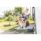 Trixie Ciotola da Viaggio per Cani 1000 ml
