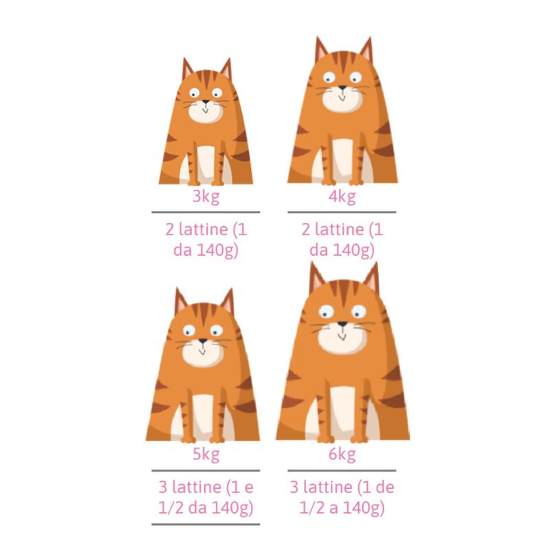 Petreet Cat Tonno rosa Tonno con fagiolini 140 gr