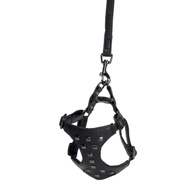 Camon Parure pettorina e guinzaglio in similpelle con borchie Nero Tg.L