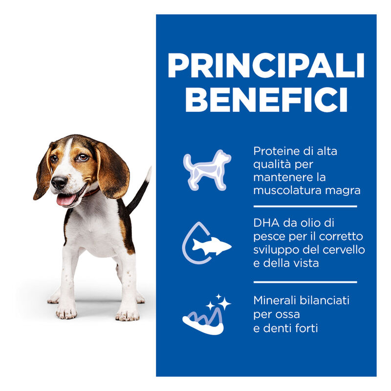 Hill's Science Plan Puppy con Manzo 370gr