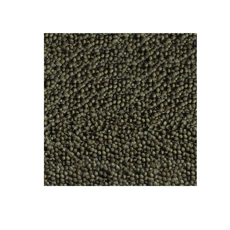 Sera Goldfish Color Granules 100 ml