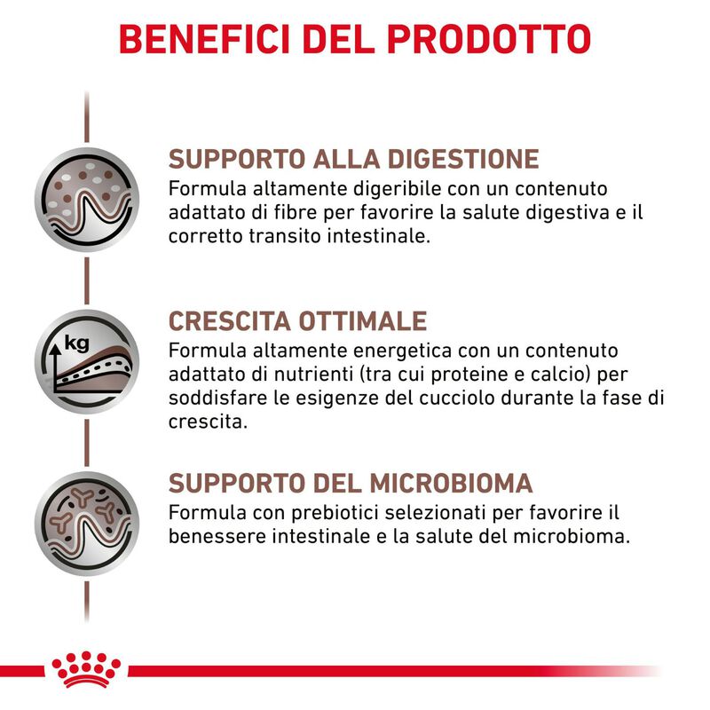 Royal Canin Veterinary Diet Dog Puppy Gastrointestinal 2,5 kg