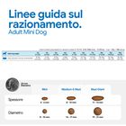 N&D Farmina Ocean Dog Adult Mini Merluzzo, Zucca & Arancia 800 gr