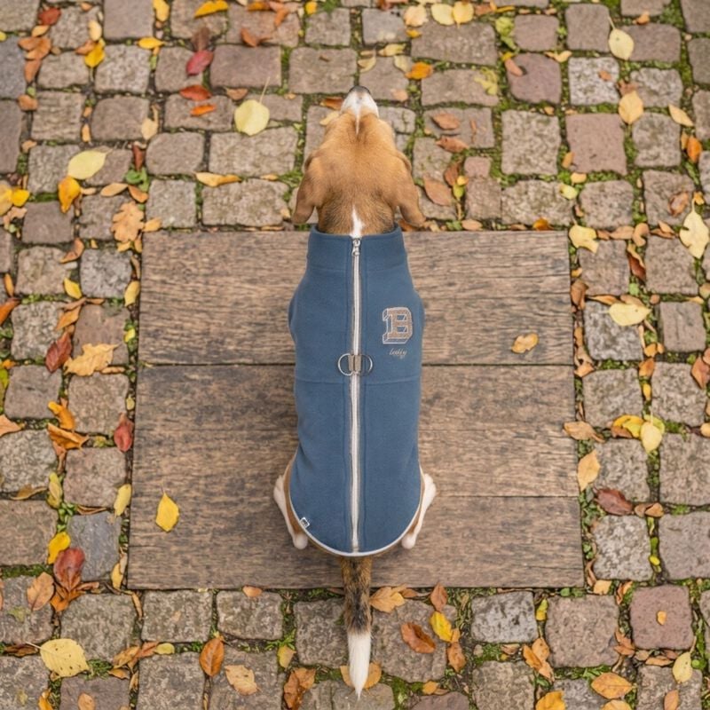 Croci Smooth Pile per cani Tg. 45 Blu