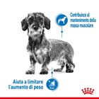 Royal Canin Dog Adult X-Small Light Weight Care 1,5 kg