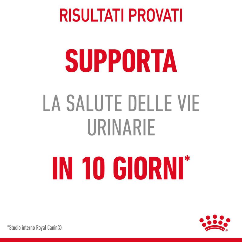 Royal Canin Cat Adult Urinary Care Gravy 85 gr