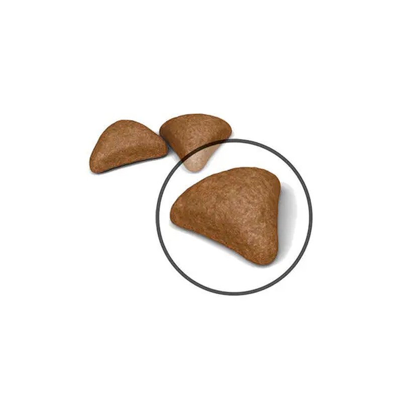 Royal Canin Cat Adult Hairball 400 gr
