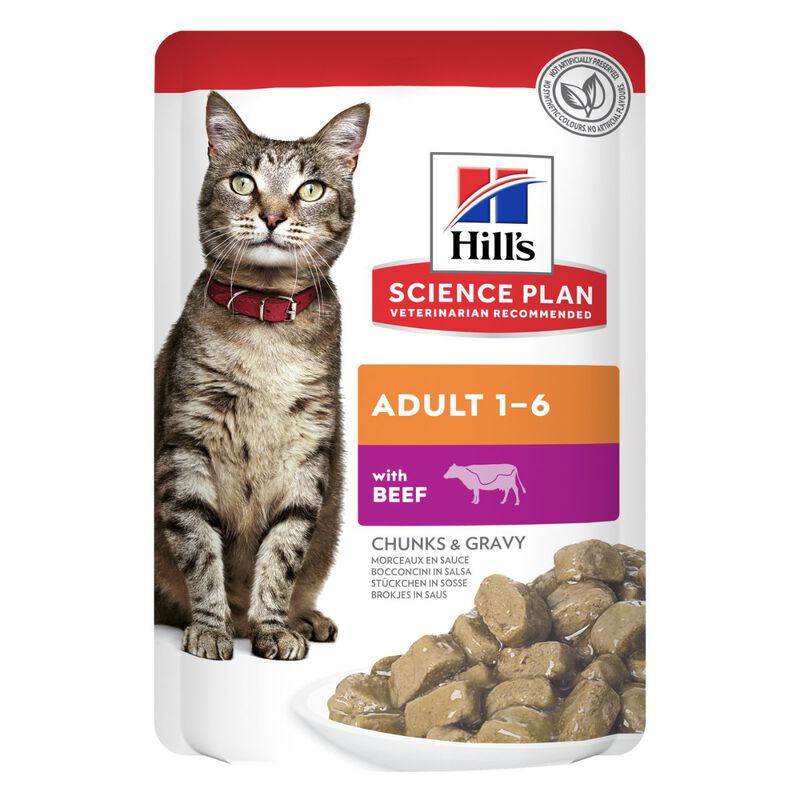 Hill's Science Plan Cat Adult con Manzo Bustina 85 gr