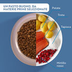 Monopro Cat Sterilised Trota 350gr