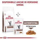 Royal Canin Veterinary Diet Cat Gastrointestinal 400 gr