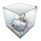 Newa Acquario Ego Full Bianco 18 Lt image number 0