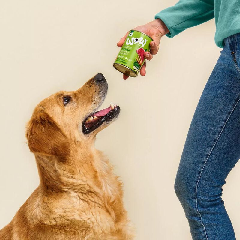 Wow Dog Adult Manzo con Carote e Zucchine 400 gr