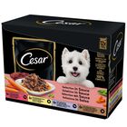 Cesar Dog Delizie del Giorno con Pollo e Verdure e Manzo e Carote in Salsa 12x100 gr