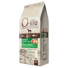 O-life Dog Adult Medium Large con Maiale Fresco 2 kg image number 0