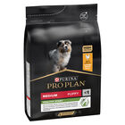 Purina Pro Plan Dog Puppy Medium Healthy Start Pollo 3 kg image number 0
