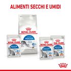 Royal Canin Cat Adult Indoor Gravy 85gr