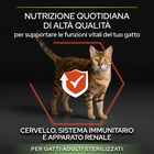 Purina Pro Plan Vital Functions Cat Adult 1+Sterilised Salmone 1,5 kg