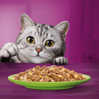 Whiskas Pranzetti Mari e Monti in Salsa con Pollo e Tonno 6x50gr