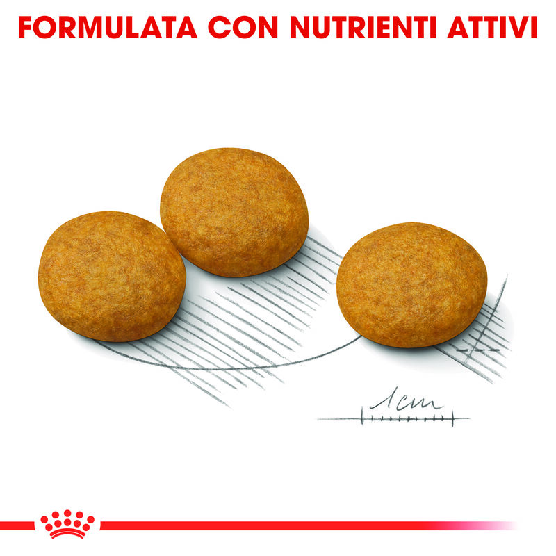 Royal Canin Dog Adult Medium Dermacomfort 3 kg