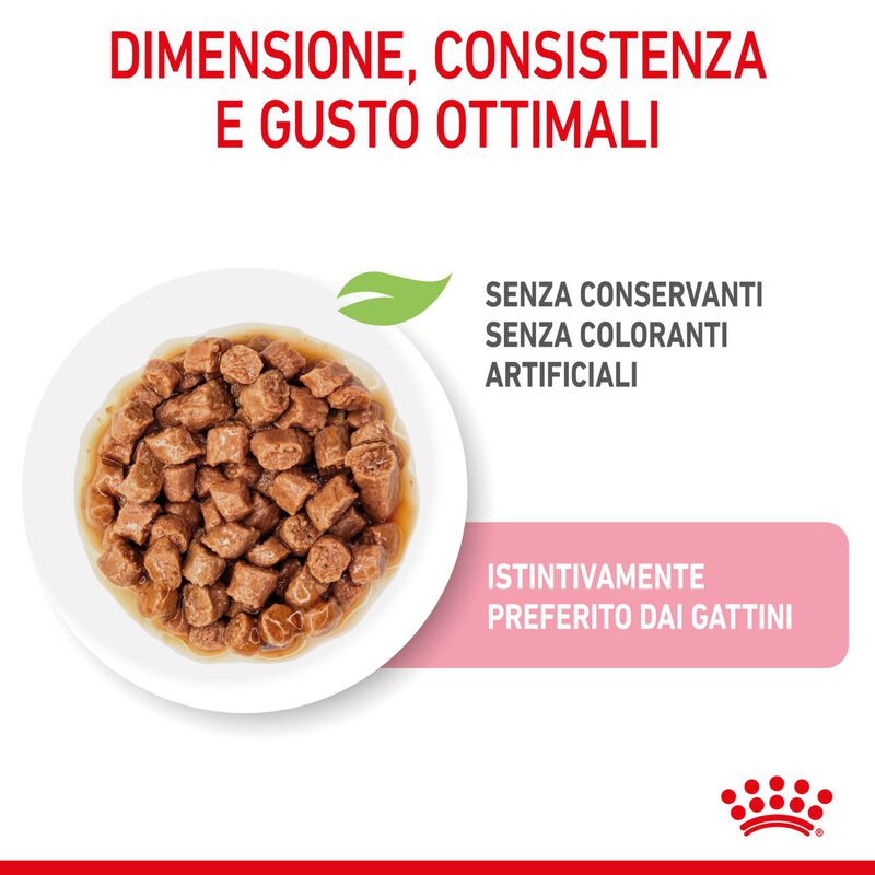 Royal Canin Kitten in Salsa 85 gr