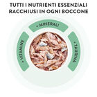Schesir Cat Adult Tonnetto con Manzo in jelly 85 gr