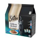 Sheba Cat D&eacute;lice du Jour Selezione del Mare 15 pz x 50 gr