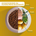 Monopro Dog Adult Mini Grain Free Pollo 2 kg